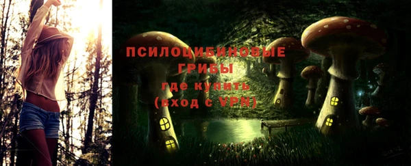 spice Абаза