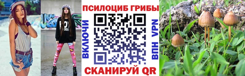 Псилоцибиновые грибы ЛСД  где найти наркотики  Райчихинск 